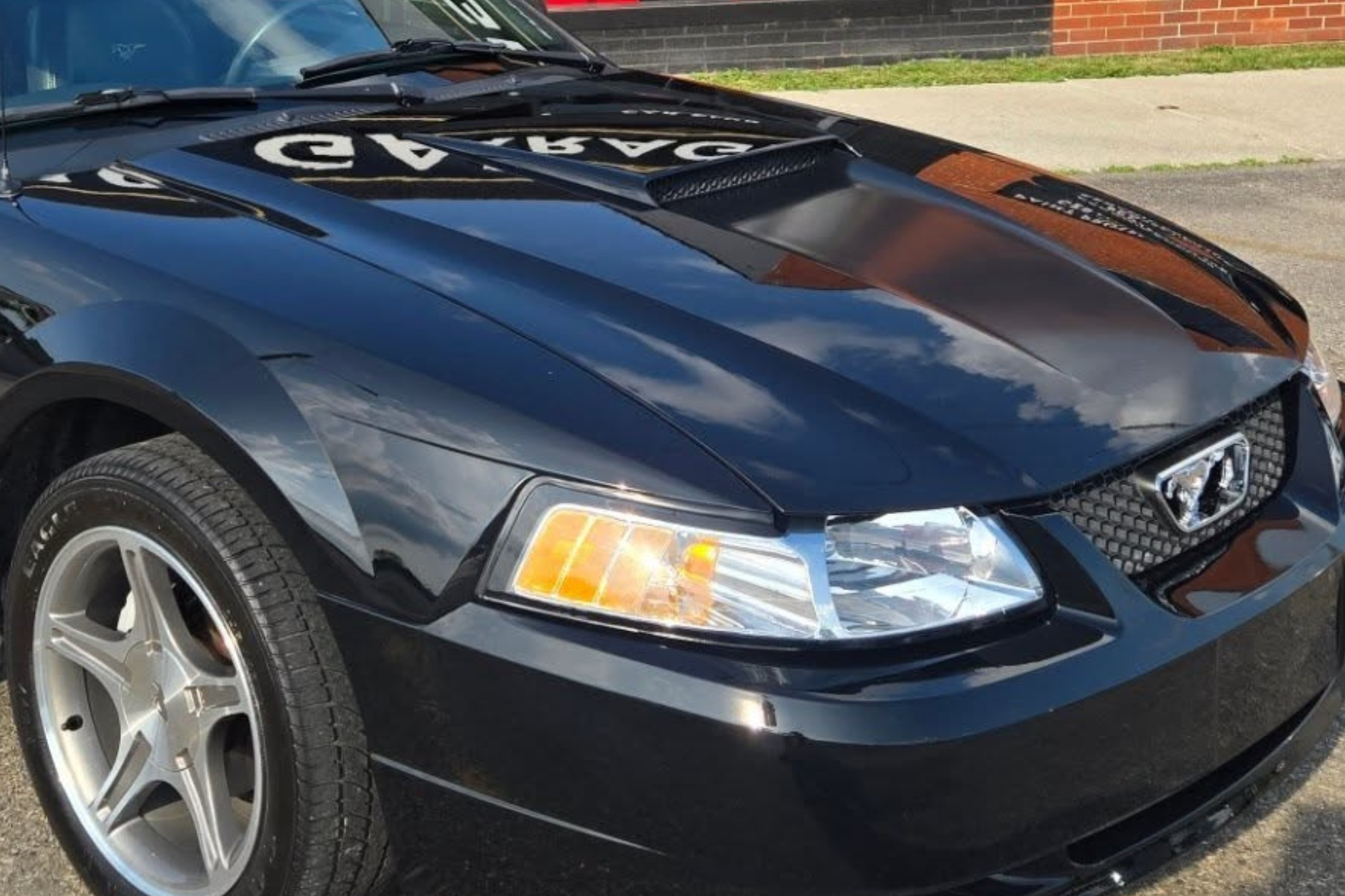 paint protection 