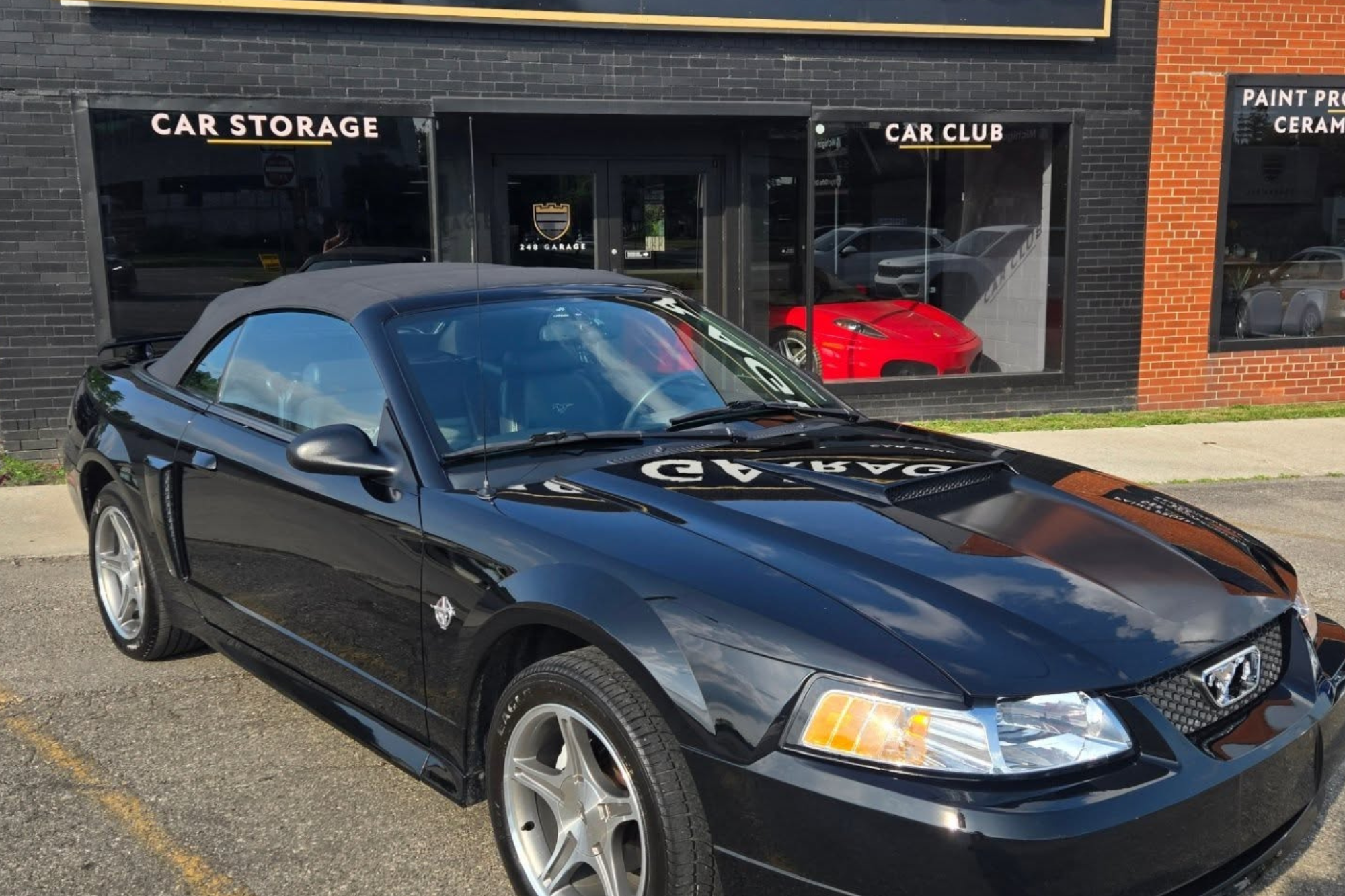 paint protection